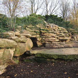 View of new Bush Dog and Brown-nosed Coati enclosure
