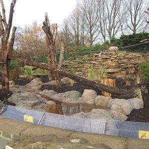 View of new Bush Dog/Brown-nosed Coati enclosure