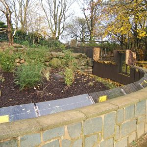 View of new Bush Dog/Brown-nosed Coati enclosure