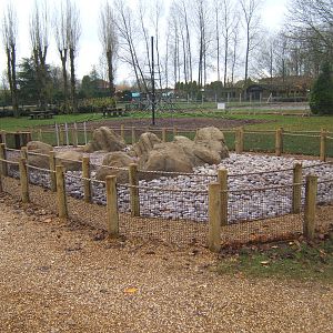 View of the Penguin feeding area