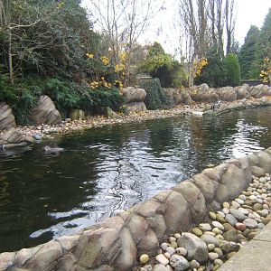 View of the re-done Penguin exhibit