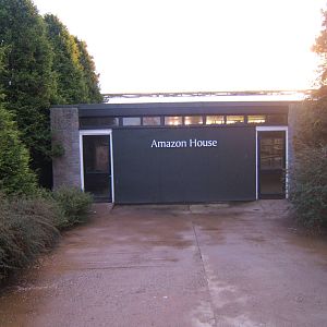 View of the Amazon House