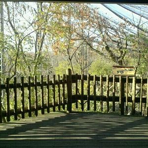 Eagle Eyrie-Andean Condor exhibit