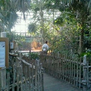 Manatee Springs-Greenhouse