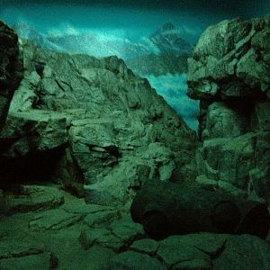 Night Hunters-Pallas's Cat exhibit