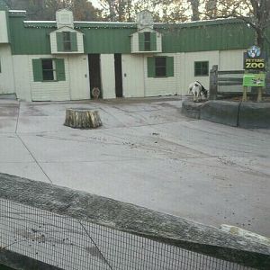 Children's Zoo-Petting Zoo