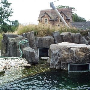 Fur seal coast July 2000