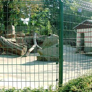 Tahr Exhibit at Dresden, 29/08/12