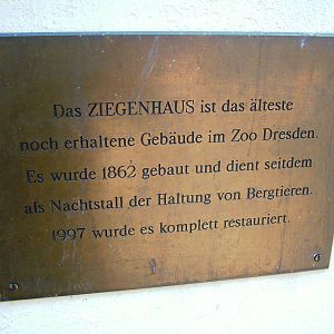 Goat House Sign at Dresden, 29/08/12