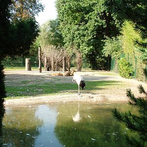 Deer and Crane Paddock at Dresden, 29/08/12