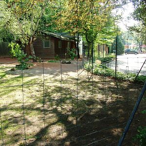 Kangaroo Paddock at Dresden, 29/08/12