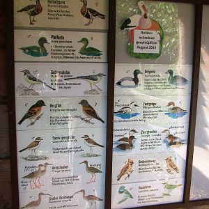 Signage Example at Dresden, 29/08/12