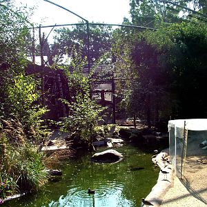 Arctic Aviary Interior at Dresden, 29/08/12