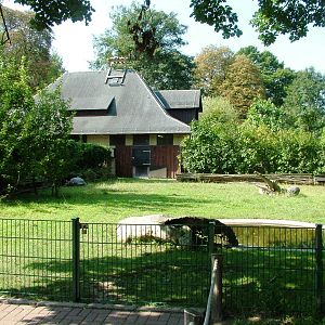 Tortoise Paddock at Dresden, 29/08/12