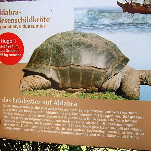 Signage Example at Dresden, 29/08/12