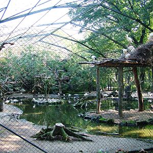 Flight Aviary at Dresden, 29/08/12