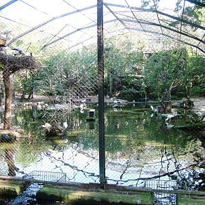 Flight Aviary at Dresden, 29/08/12