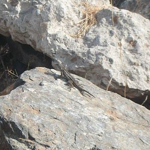 Saw this outside seaworld san diego