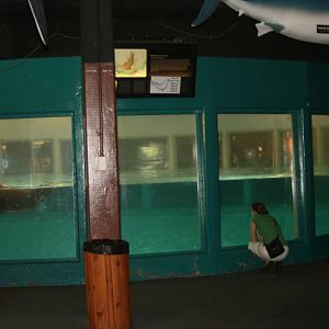 Central facility tank