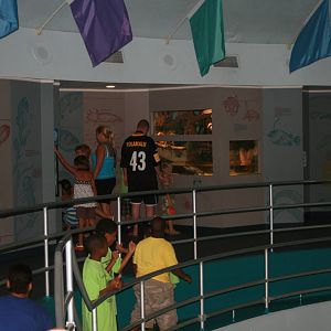 Second floor exhibits