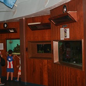 Additional second floor exhibits