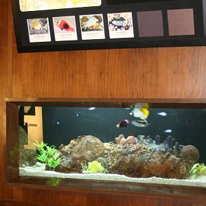 Aquarium signage