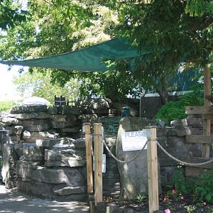 Outdoor seal exhibit