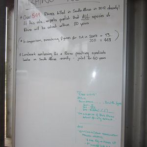 Rhino poaching notice