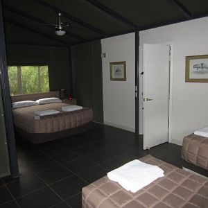 Serengeti Room