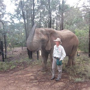 Cuddles' morning walk