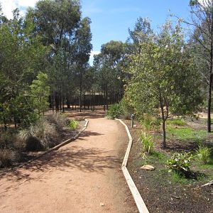 Pathway between the lodges