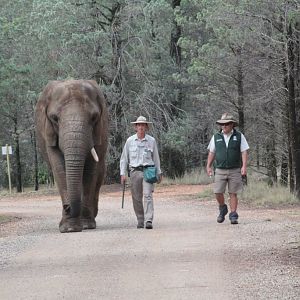 Cuddles on her morning walk