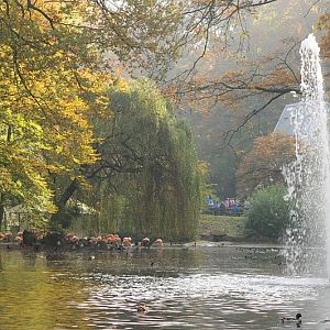 View across the waterfowl lake at Dortmund