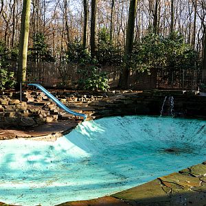 Small seal pool at Dortmund