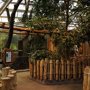 Rumah Hutan at Dortmund