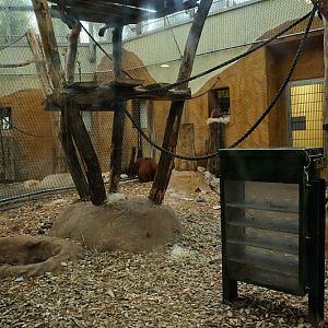 Rumah Hutan at Dortmund