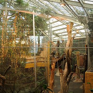 Rumah Hutan at Dortmund