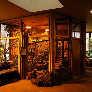 Pygmy lori aviary inside Rumah Hutan at Dortmund