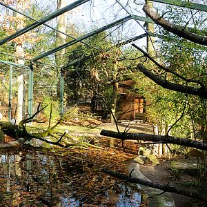 The new Phoenix aviary at Dortmund