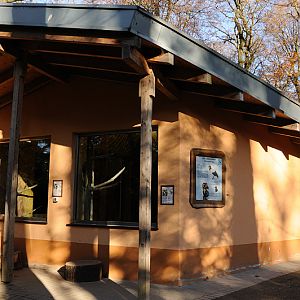 King vulture house at Dortmund