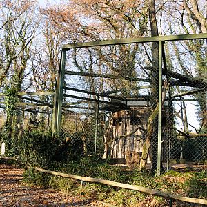Andean condor aviary at Dortmund