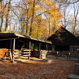 Petting zoo at Dortmund