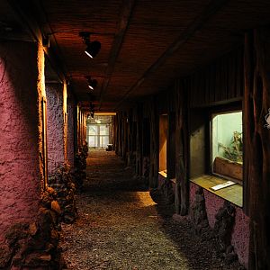 Aquarium section inside Amazon house at Dortmund