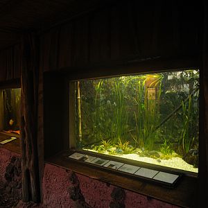 Aquarium section inside Amazon house at Dortmund