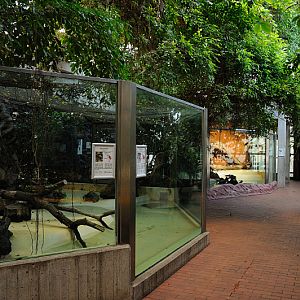 Reptile section inside Amazon house at Dortmund