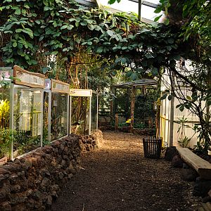 Reptile section inside Amazon house at Dortmund