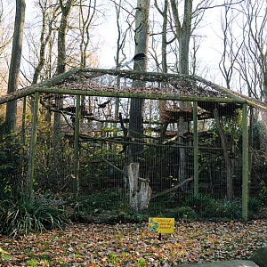 White-faced saki enclosure at Dortmund