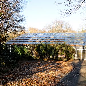 Amazon house at Dortmund