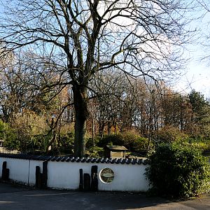 Red panda enclosure at Dortmund