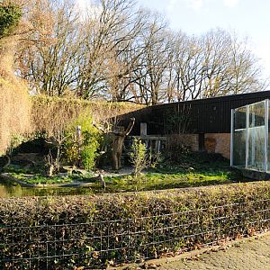 Tiger enclosure at Dortmund